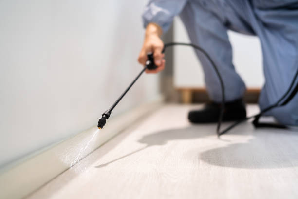 Licensed Cockroach Control service in Christiansburg, VA - Nex Pest Control