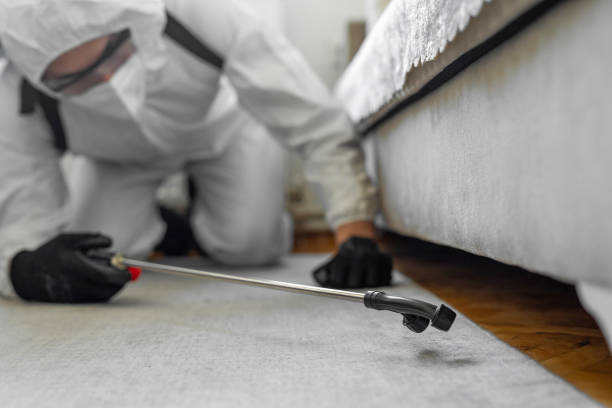 Professional Cockroach Control technician working in Christiansburg, VA